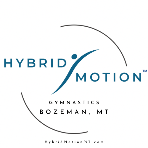 Hybrid motion logo